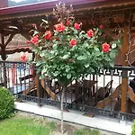 Family Yola Čepelare