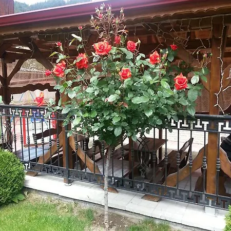 Family Yola Чепеларе