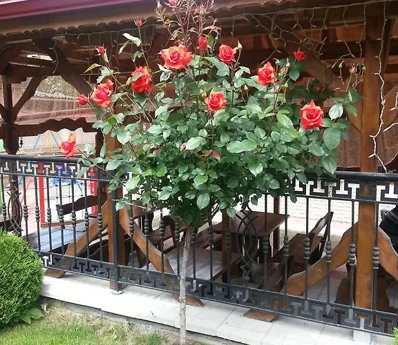 Family Yola Chepelare